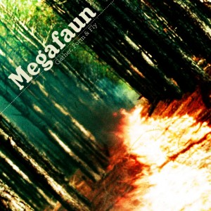 Illustration for article titled Phil Cook of Megafaun